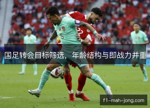 国足转会目标筛选，年龄结构与即战力并重